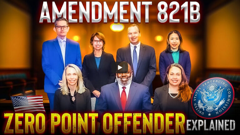 Zero Point Offender Video Released